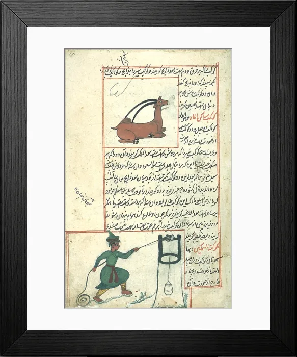 Framed Print : Capricorn and Aquarius Constellations, Zodiac Sign Framed Print : Capricorn and Aquarius Constellations, Zodiac Sign