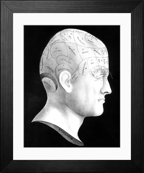 Framed Print : Phrenology Framed Print : Phrenology