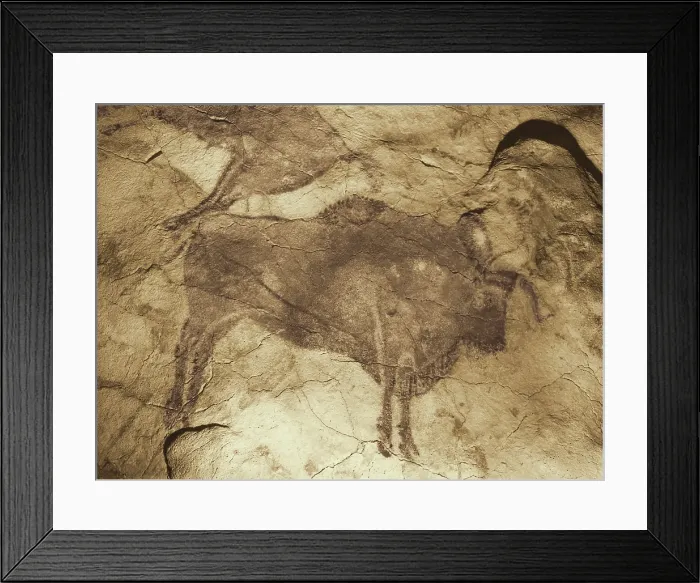 Framed Print : Altamira Cave Paintings