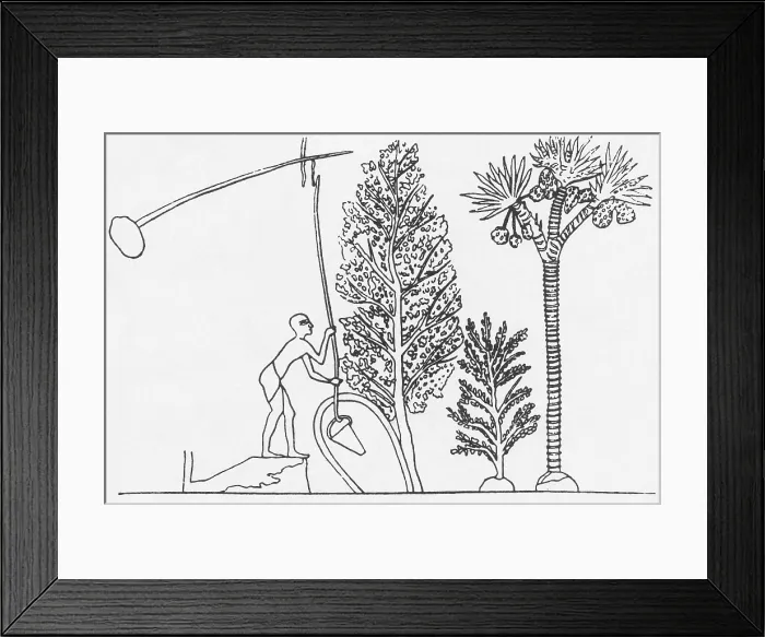 Framed Print : Ancient Well Framed Print : Ancient Well