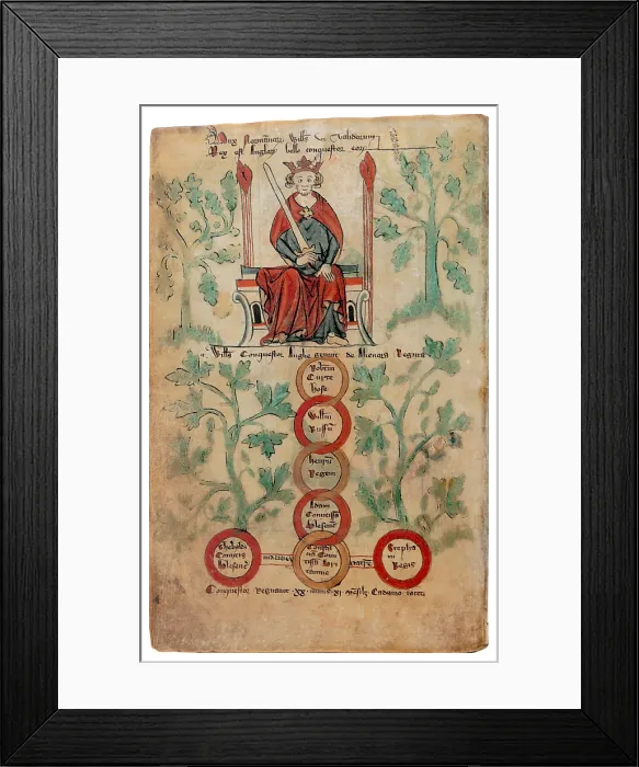 Framed Print : William the Conqueror, Family Tree Framed Print : William the Conqueror, Family Tree