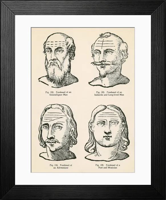 Framed Print : Physiognomy, 1637 Framed Print : Physiognomy, 1637