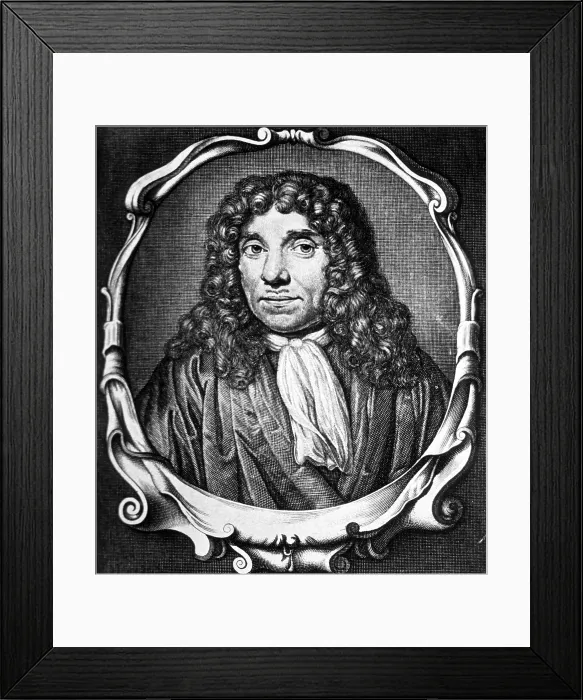 Framed Print : Anton Van Leeuwenhoek, Dutch Microbiologist Framed Print : Anton Van Leeuwenhoek, Dutch Microbiologist