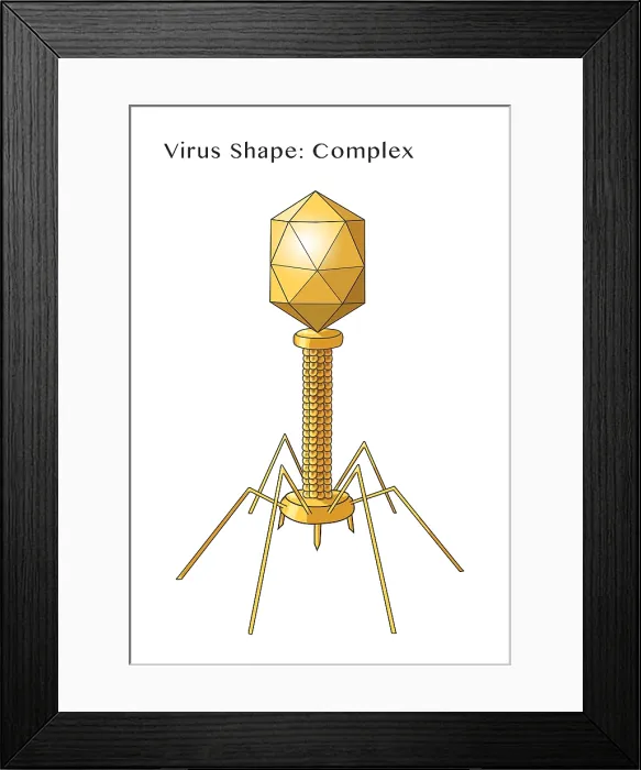 Framed Print : Virus Shape, Complex, Illustration Framed Print : Virus Shape, Complex, Illustration