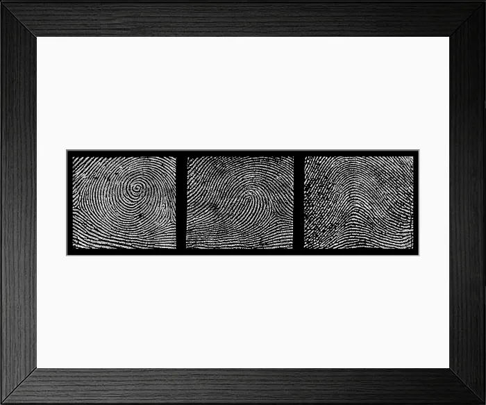 Framed Print : Whorl, Loop, and Arch Fingerprints Framed Print : Whorl, Loop, and Arch Fingerprints