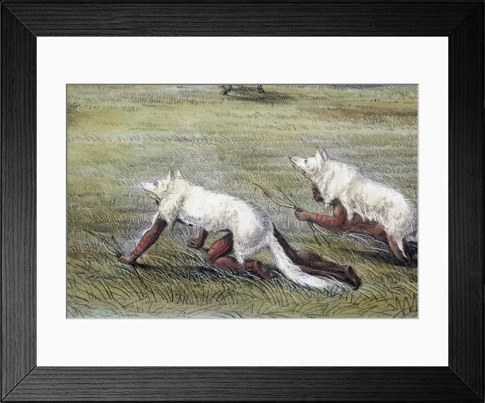 Framed Print : Buffalo Hunt Framed Print : Buffalo Hunt