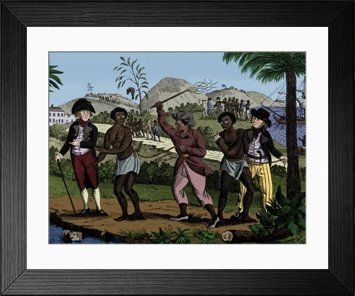 Framed Print : Caribbean Slave Trade, 18th Century Framed Print : Caribbean Slave Trade, 18th Century
