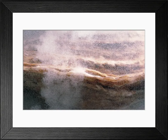 Framed Print : Oyster & Eggs Framed Print : Oyster & Eggs