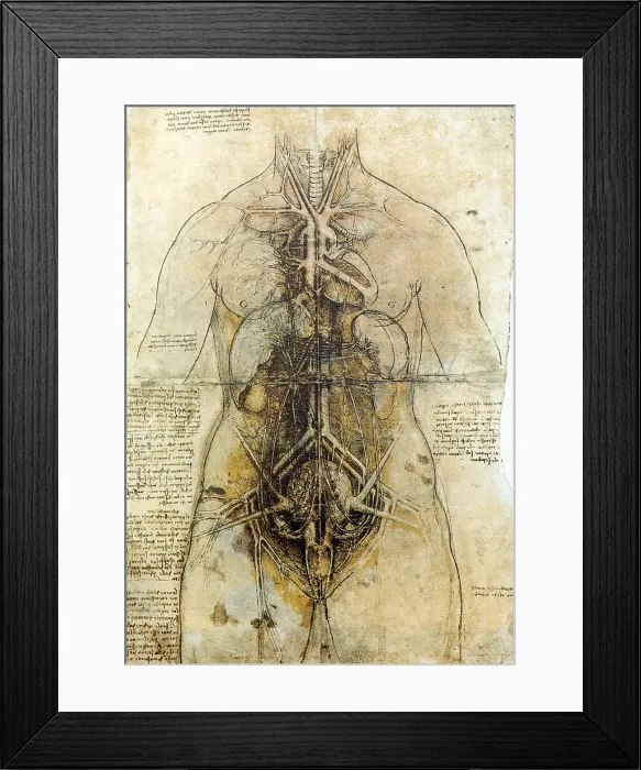 Framed Print : Da Vinci Female Anatomical Study, 1507 Framed Print : Da Vinci Female Anatomical Study, 1507