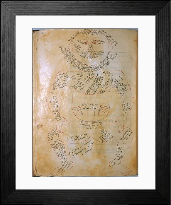 Framed Print : Mansur's Anatomy, Muscle System, 15th Century Framed Print : Mansur's Anatomy, Muscle System, 15th Century