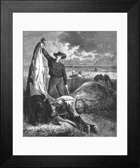 Framed Print : Buffalo Skinner, 1874 Framed Print : Buffalo Skinner, 1874