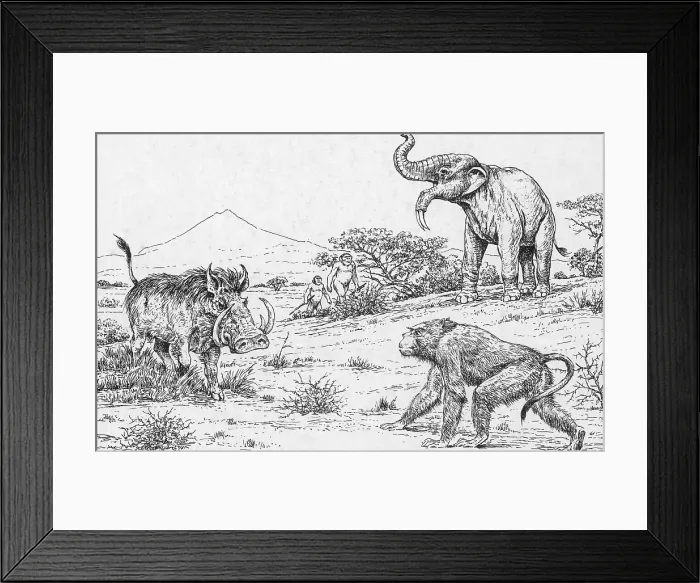 Framed Print : Prehistoric Extinct Animals Framed Print : Prehistoric Extinct Animals