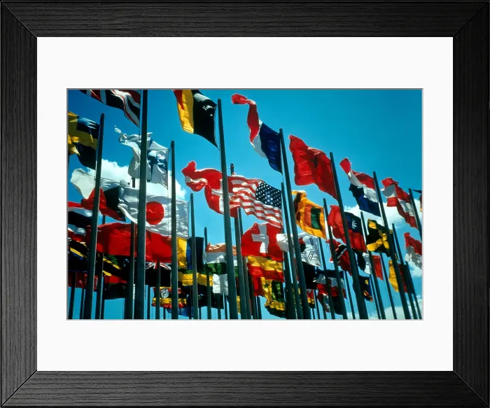 Framed Print : Flags of the World Framed Print : Flags of the World