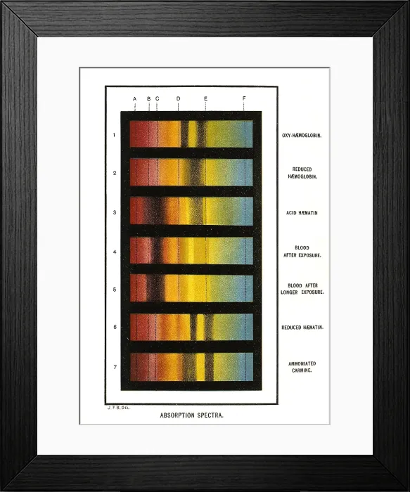 Framed Print : Spectra Chart, Blood Samples, 1894
