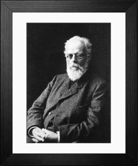 Framed Print : August Weismann, German Evolutionary Biologist Framed Print : August Weismann, German Evolutionary Biologist