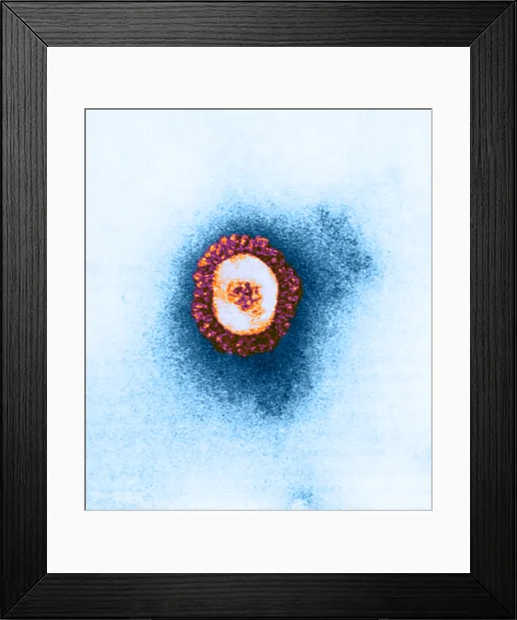 Framed Print : Coronavirus, TEM