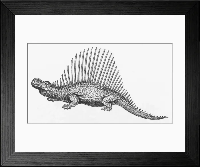 Framed Print : Dinosaur Illustration Framed Print : Dinosaur Illustration