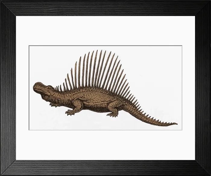 Framed Print : Dinosaur Illustration Framed Print : Dinosaur Illustration