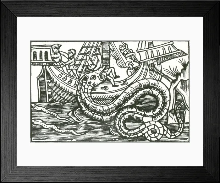 Framed Print : Kraken Attacking Ship, 1555 Framed Print : Kraken Attacking Ship, 1555