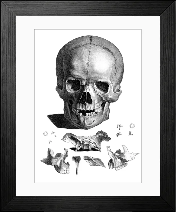 Framed Print : Jacques Gamelin, Nouveau d'osteologie, 1779
