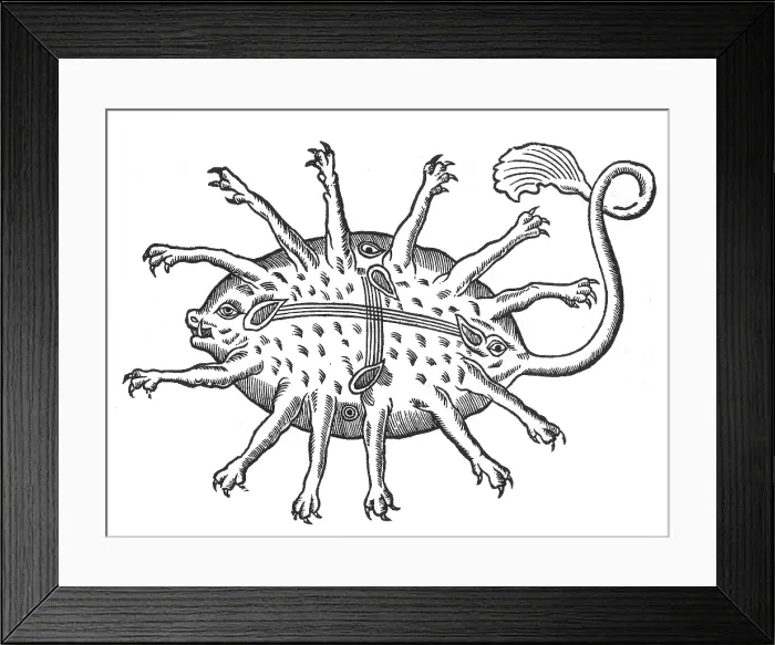 Framed Print : Gessner, Rubus, Legendary Sea Monster Framed Print : Gessner, Rubus, Legendary Sea Monster