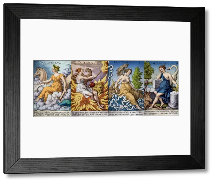 Framed Print : The Four Humors of Hippocratic Medicine Framed Print : The Four Humors of Hippocratic Medicine