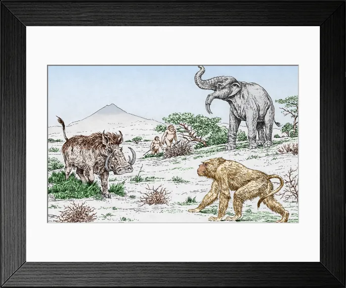Framed Print : Prehistoric Extinct Animals