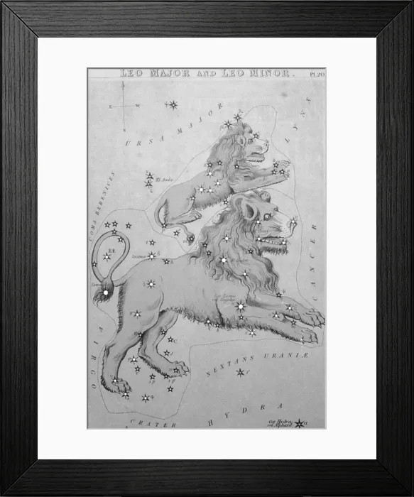 Framed Print : Leo Major and Leo Minor, 19th Century Framed Print : Leo Major and Leo Minor, 19th Century
