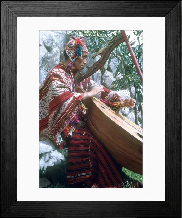 Framed Print : Lute Player Framed Print : Lute Player
