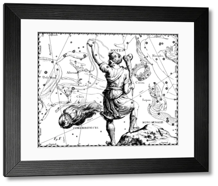 Framed Print : Bootes Constellation, Hevelius, 1687