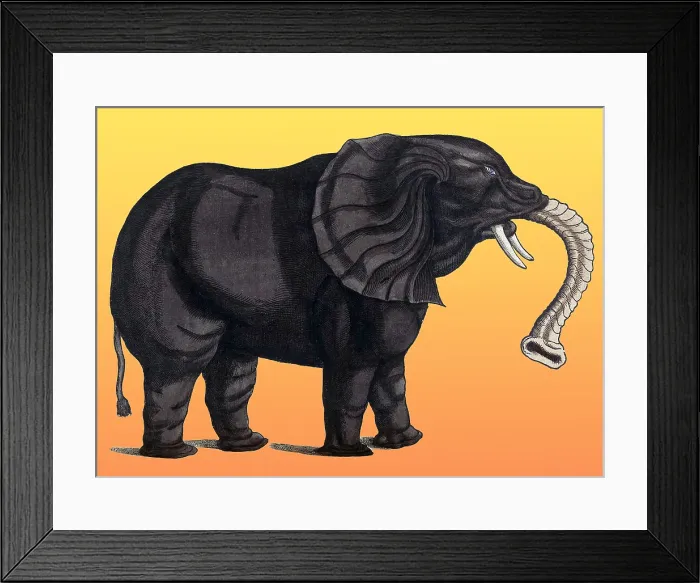 Framed Print : Gessner, Elephant, 16th Century