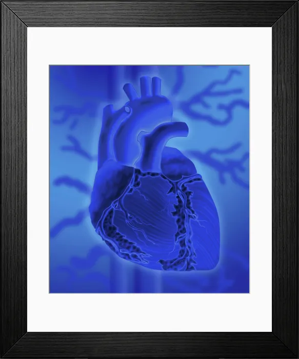 Framed Print : Human Heart Framed Print : Human Heart