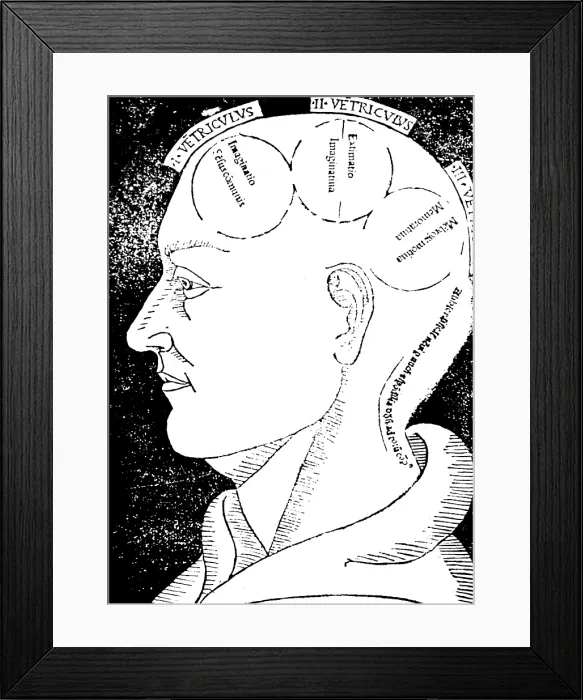 Framed Print : Albertus Magnus, Brain Functions Framed Print : Albertus Magnus, Brain Functions