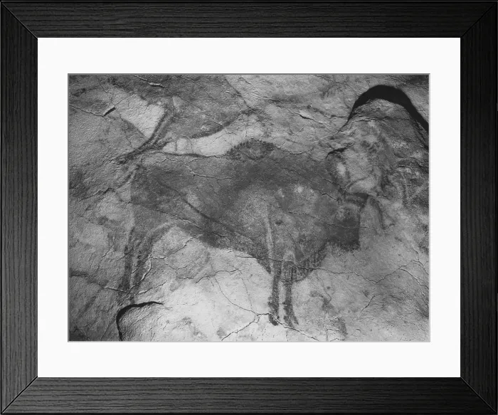 Framed Print : Altamira Cave Paintings