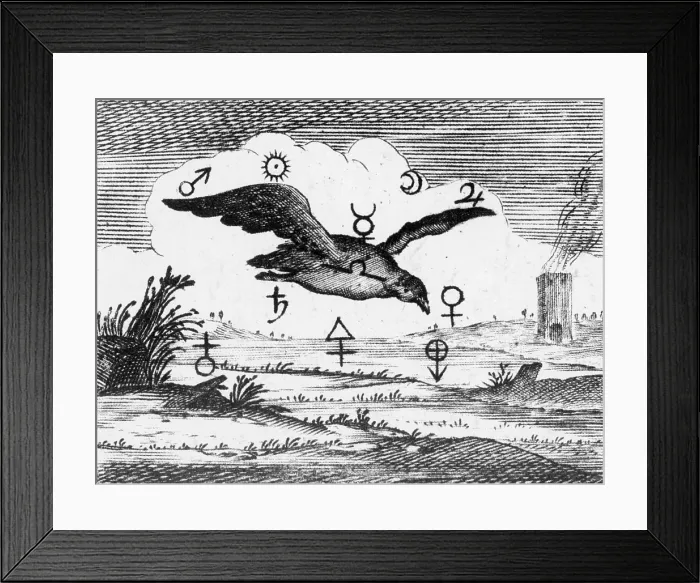 Framed Print : Alchemy Illustration Framed Print : Alchemy Illustration