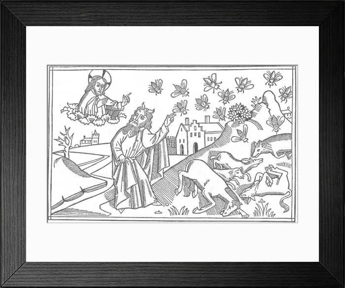 Framed Print : 5th Plague of Egypt, Diseased Livestock Framed Print : 5th Plague of Egypt, Diseased Livestock