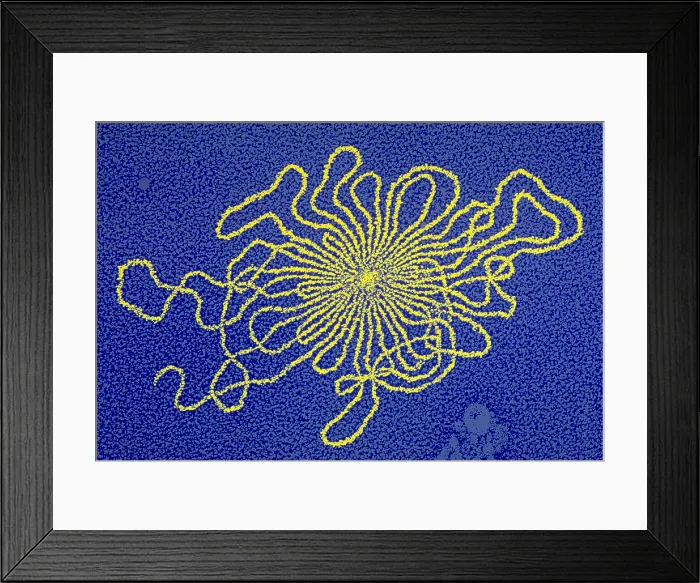 Framed Print : Genetics, DNA of Enterobacteria phage, TEM