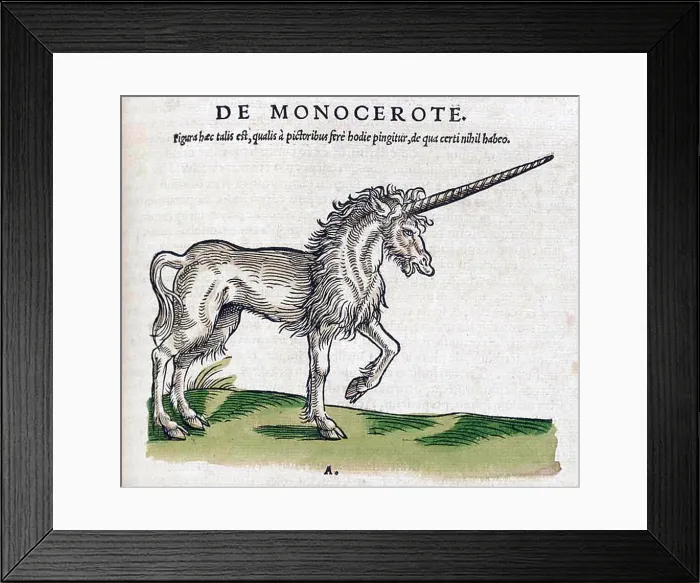 Framed Print : Gessner, Unicorn, Legendary Creature Framed Print : Gessner, Unicorn, Legendary Creature