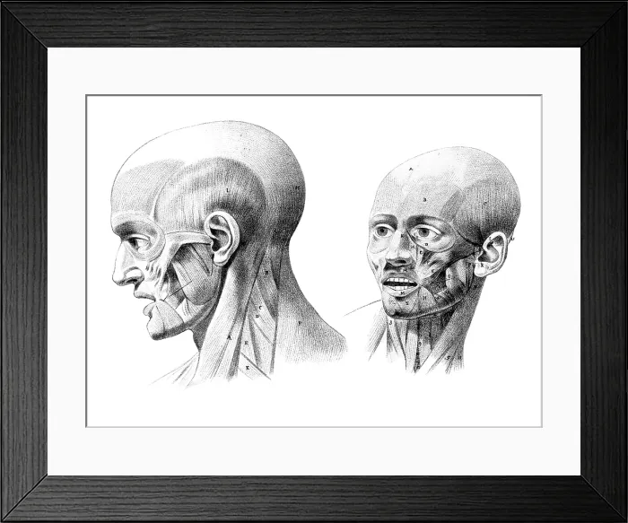 Framed Print : Jacques Gamelin, Nouveau d'osteologie, 1779 Framed Print : Jacques Gamelin, Nouveau d'osteologie, 1779