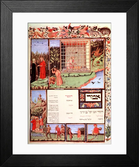 Framed Print : Avicenna, Canon of Medicine, Medieval Edition Framed Print : Avicenna, Canon of Medicine, Medieval Edition