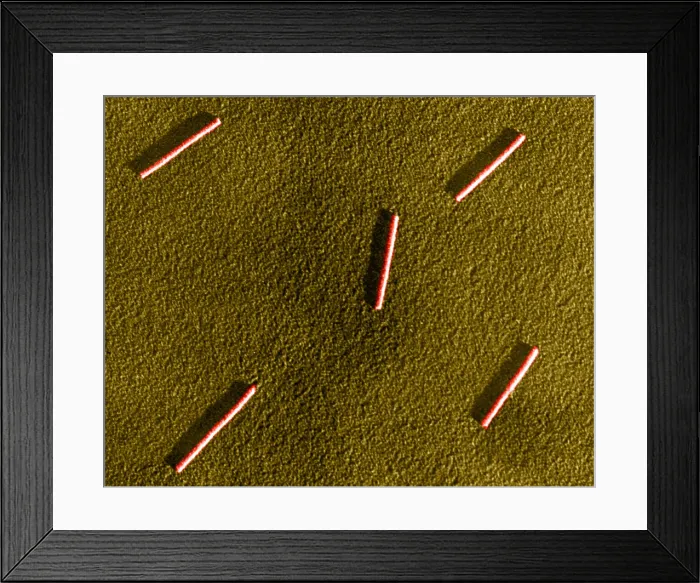 Framed Print : Tobacco mosaic Virus, TEM Framed Print : Tobacco mosaic Virus, TEM
