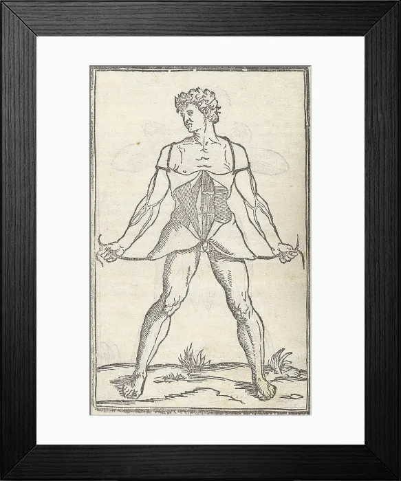Framed Print : Jacopo Berengario da Carpi, Anatomy Framed Print : Jacopo Berengario da Carpi, Anatomy