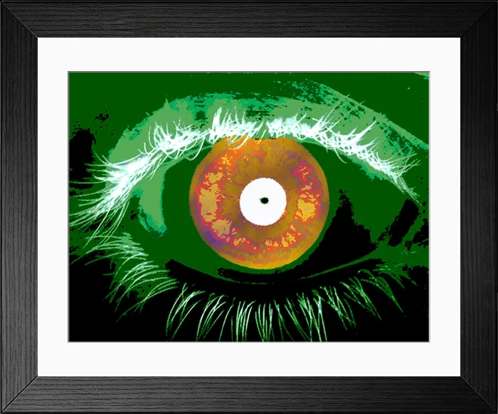Framed Print : Iris Scan, Identity Verification, 2012 Framed Print : Iris Scan, Identity Verification, 2012