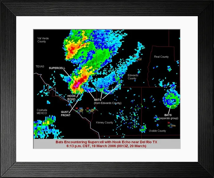 Framed Print : Bats Encounter Supercell with Hook Echo, Radar Framed Print : Bats Encounter Supercell with Hook Echo, Radar