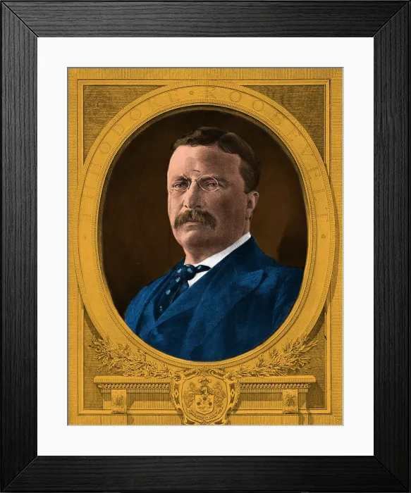 Framed Print : Theodore Roosevelt, 26th American President Framed Print : Theodore Roosevelt, 26th American President