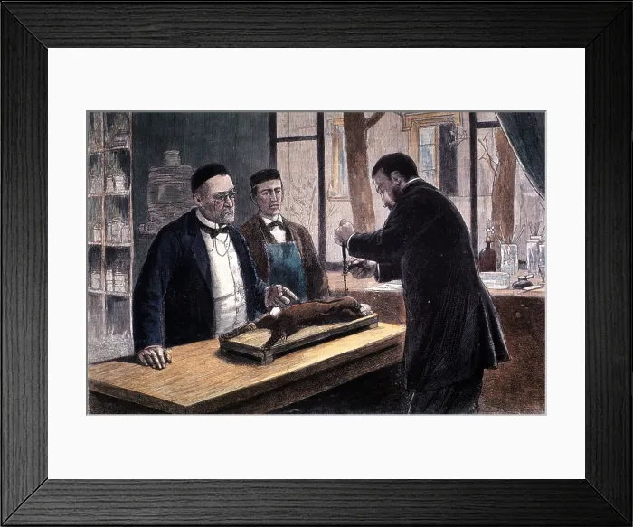 Framed Print : Louis Pasteur, French Microbiologist