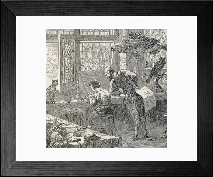 Framed Print : Collection of Conrad Gessner, 16th Century