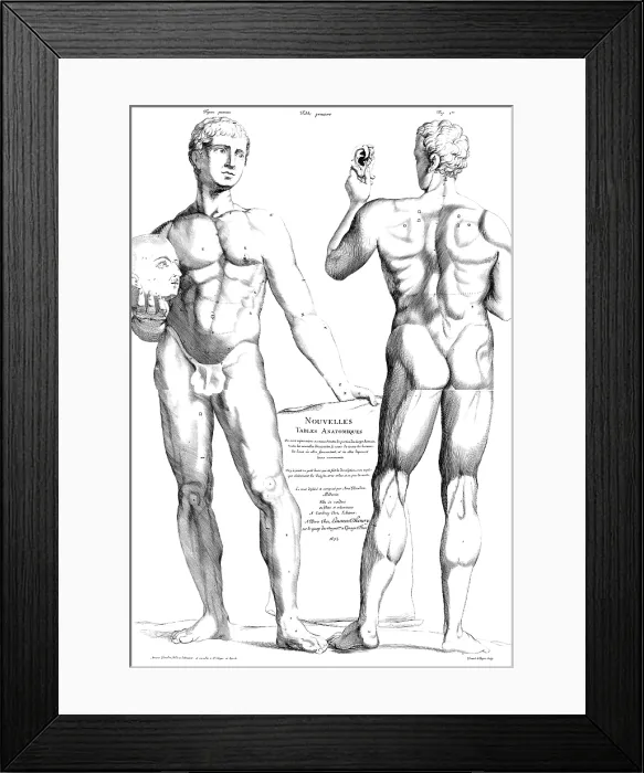Framed Print : Ame Bourdon, 'Nouvelles tables anatomiques', 1678 Framed Print : Ame Bourdon, 'Nouvelles tables anatomiques', 1678