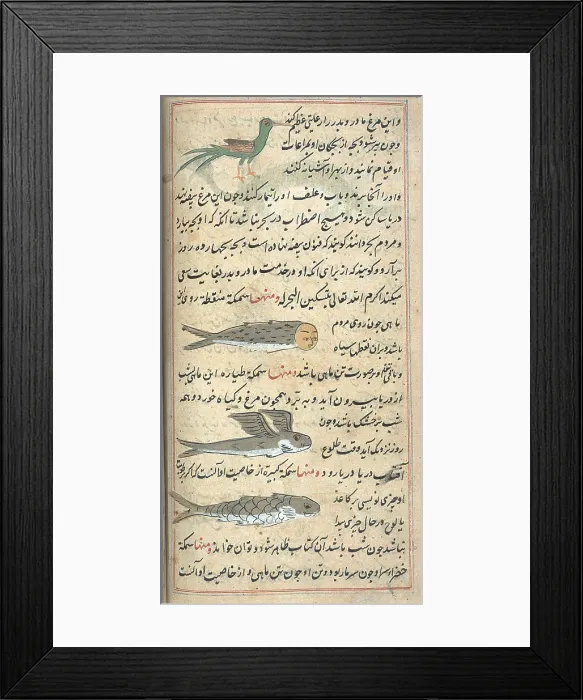 Framed Print : Islamic Mythical Creatures, 17th Century