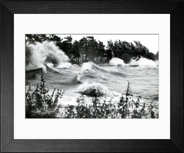 Framed Print : Hurricane Waves Framed Print : Hurricane Waves
